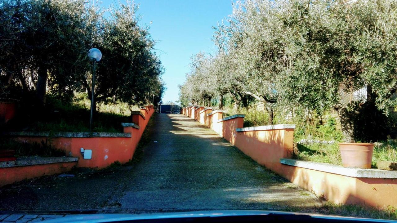 فيلا Locazione Turistica Dream House Marzia روما المظهر الخارجي الصورة